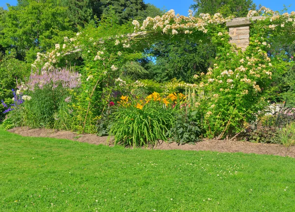 Sonniger Sommergarten mit grünem Rasen — Stockfoto