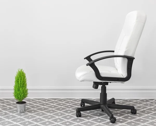 Silla de ordenador y planta verde — Foto de Stock