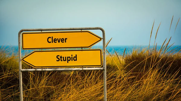 ストリートサイン賢い対愚か者への方向への道 — ストック写真