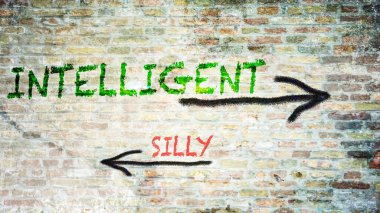 Sokak İmza Akıllı ve Silly için Yön Yolu