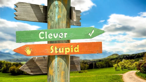 stock image Street Sign the Direction Way to Clever versus Stupid