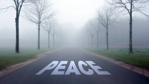 Sokak Mza Barış Için Yön Yolu — Stok fotoğraf