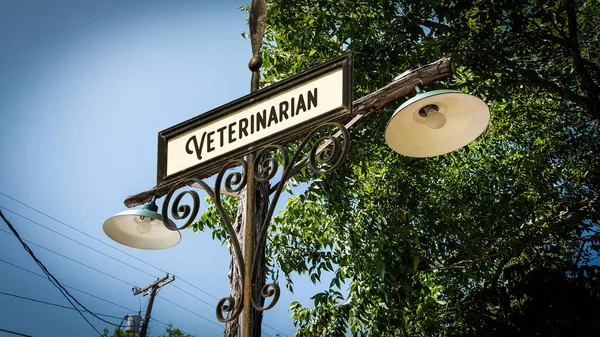 Sokak İşareti tne Yön Yol Veteriner için