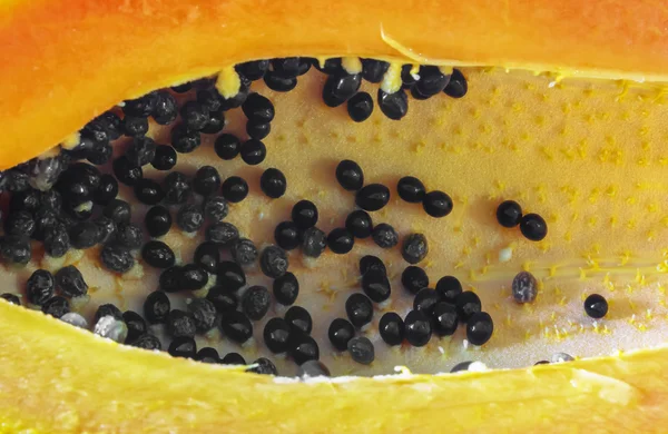 Papaya — Stockfoto