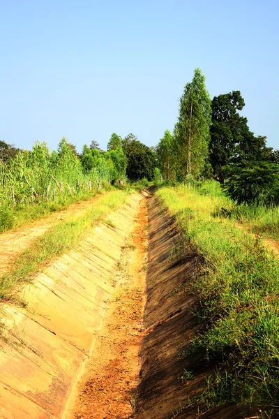 Irrigation — Stock Photo, Image