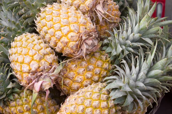 Ananas — Stockfoto