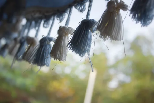 Cars Curtains — Stock Photo, Image