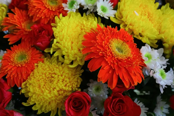 Kleurrijke bloemen — Stockfoto