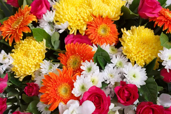 Kleurrijke bloemen — Stockfoto