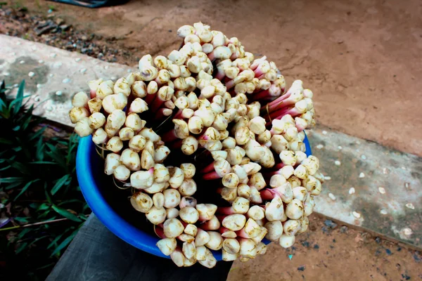 Galangal oil — Stock Photo, Image