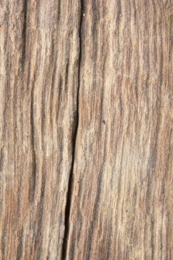 çürümüş ahşap.