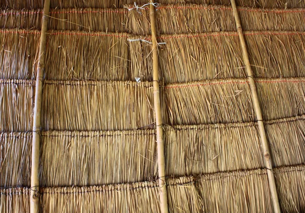 Make the grass roof — Stock Photo, Image