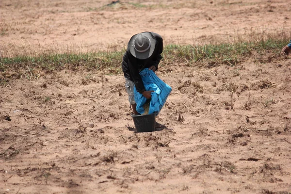 Agricultor — Foto de Stock