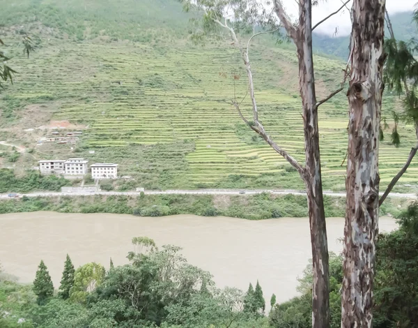 Сільській місцевості в Бутані — стокове фото