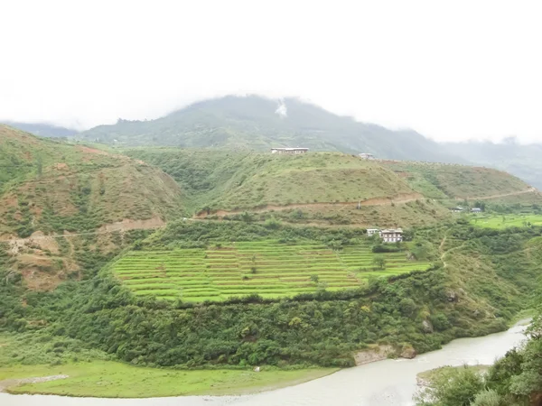 Landsbygden i bhutan — Stockfoto