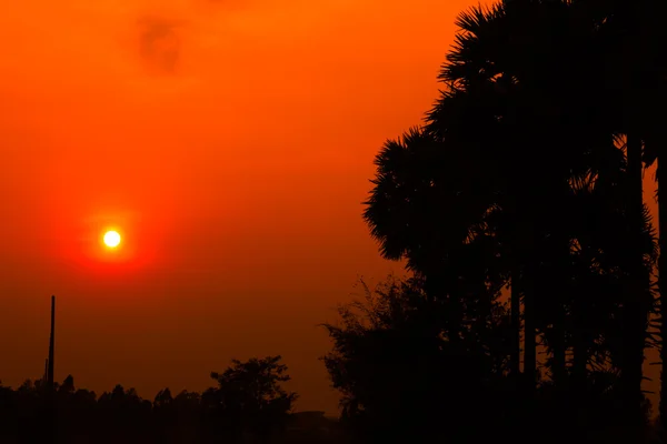 Evening sky — Stock Photo, Image