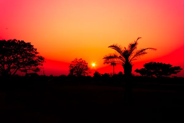 Por do sol com céu laranja. — Fotografia de Stock