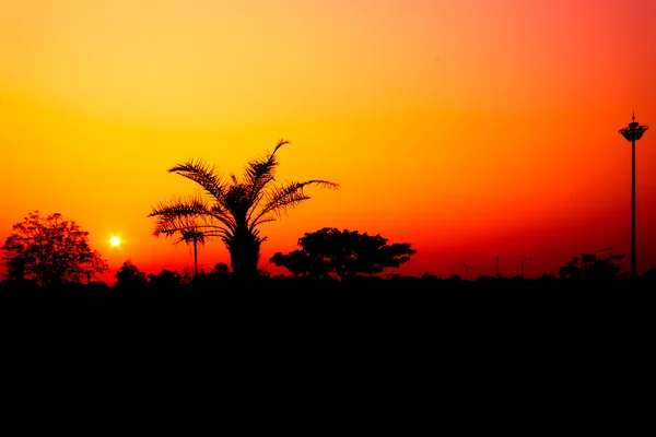 Por do sol com céu laranja. — Fotografia de Stock