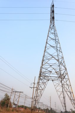 yüksek gerilim güç pole ortasında günbatımında bir mısır tarlası.