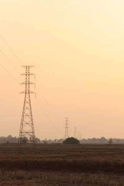 Poste de alta tensión en medio de un campo de maíz al atardecer . — Foto de Stock