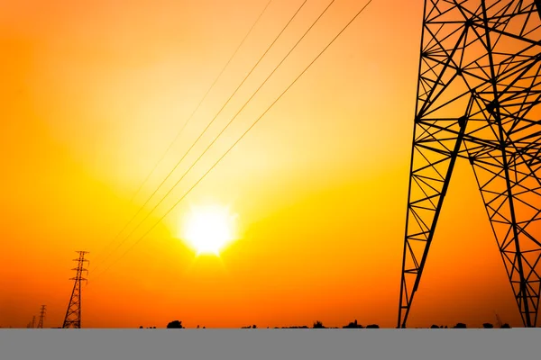 yüksek gerilim güç pole ortasında turuncu gökyüzü ile bir mısır tarlası