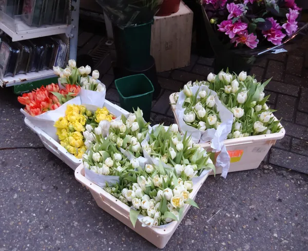 Fleurs à vendre — Photo