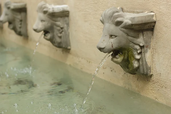 Socha lva hlavy výtok vody. — Stock fotografie