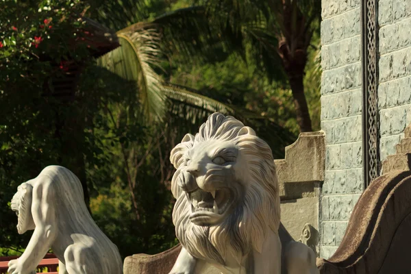 Statue de lion — Photo