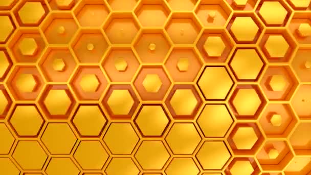 Bakgrund Hexagons Abstrakt Rörelse Loop Två Färger Rendering Upplösning — Stockvideo