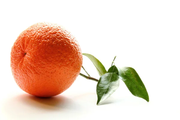 Orange isoliert — Stockfoto