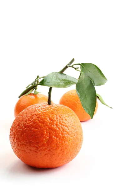 Orangen und Weiß — Stockfoto