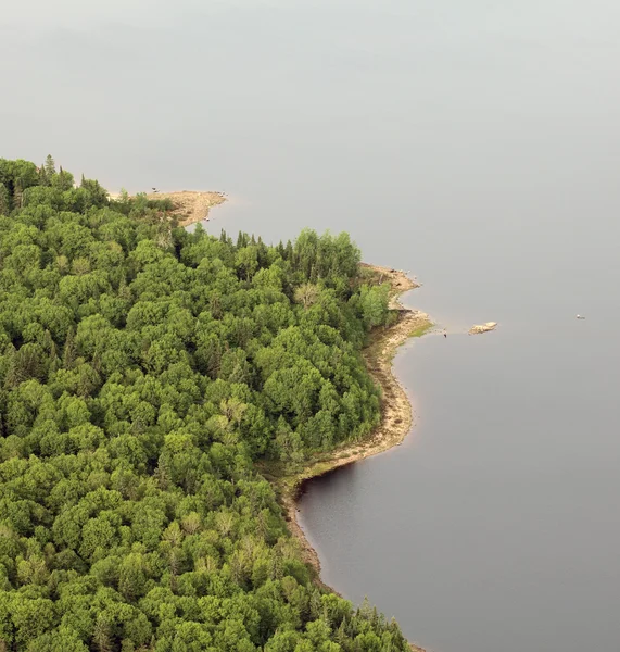 Vista aérea da floresta — Fotografia de Stock