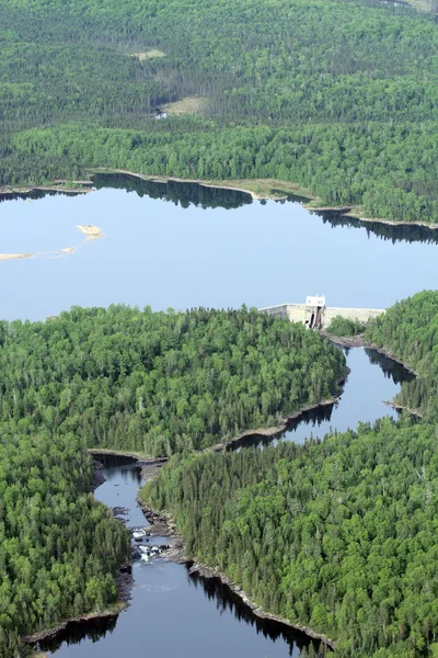 Aerial forest view — Stock Photo, Image