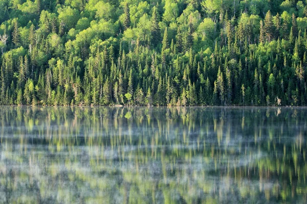 Calm lake Stock Image
