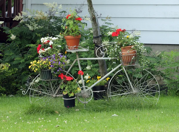 Flower bicycle — Stock Photo, Image