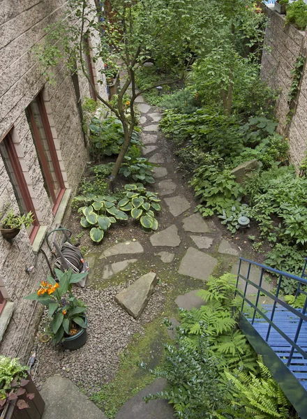 Urban home garden — Stock Photo, Image