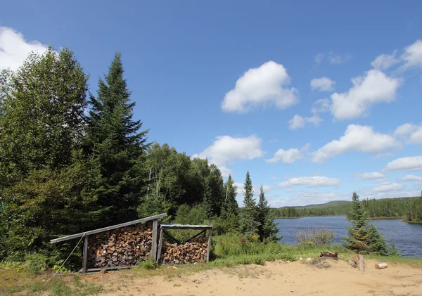 Lago del bosque — Foto de Stock