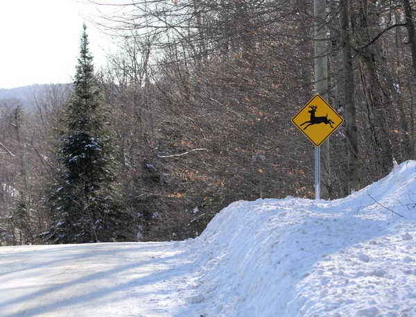 Deer road sign — Stock Photo, Image