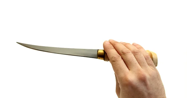 Fillet knife — Stock Photo, Image