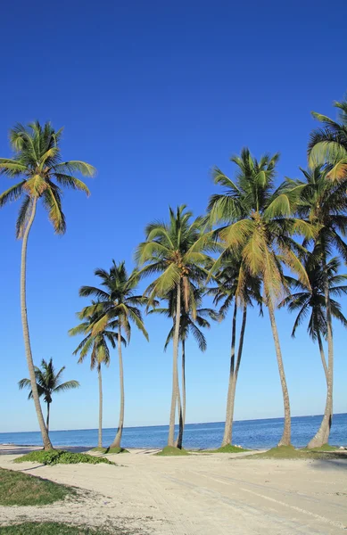 Praia do Caribe — Fotografia de Stock