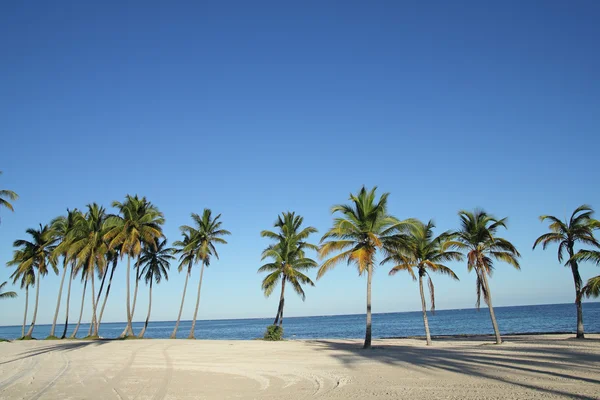 Praia do Caribe — Fotografia de Stock