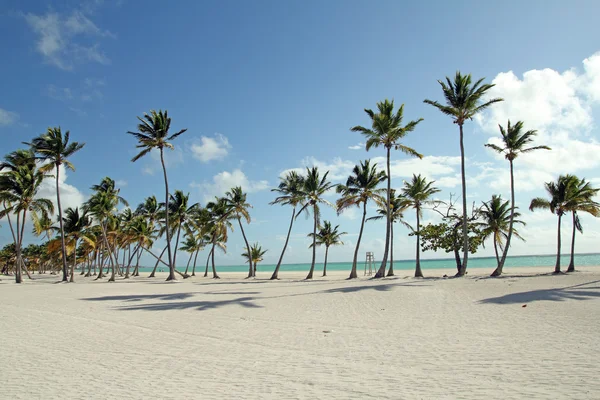 Playa grande — Foto de Stock