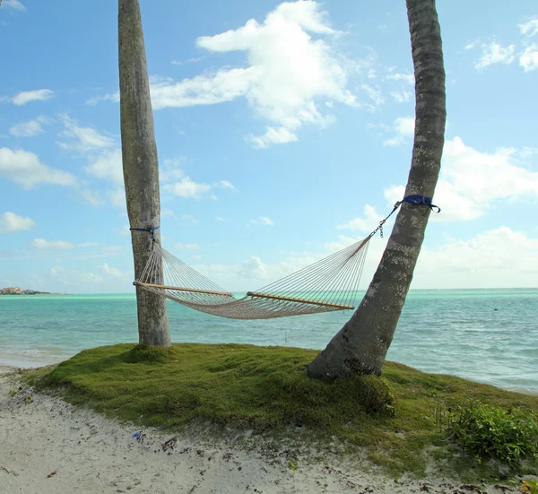 Beach hammock — Stock Photo, Image