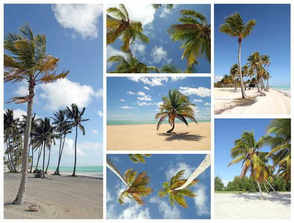 Playa tropical — Foto de Stock