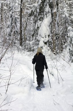 Orman snowshoeing