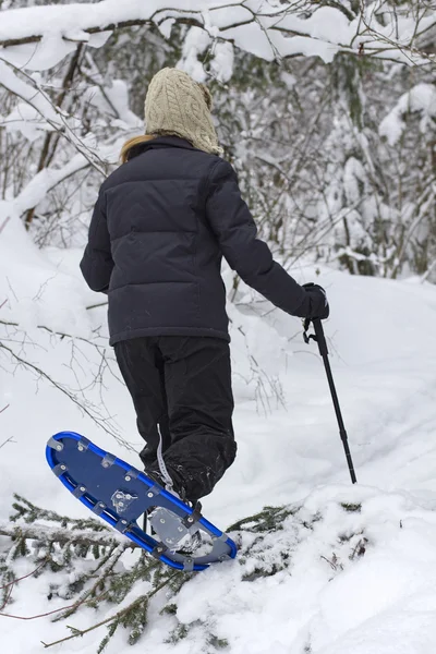 Forest snowshoeing — Stock Photo, Image