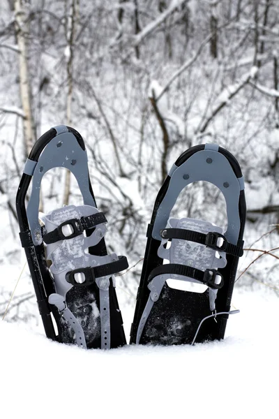 Zapatos de nieve en la nieve —  Fotos de Stock