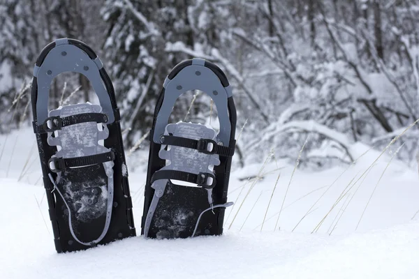 Snow shoes in the snow — Stock Photo, Image