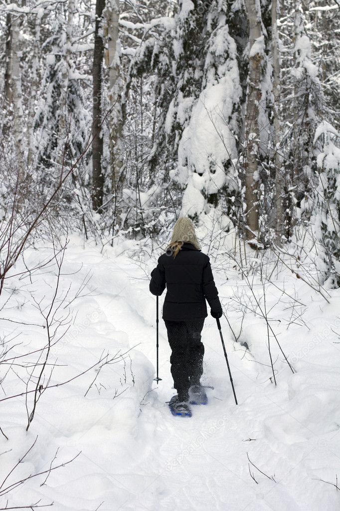 forest snowshoeing