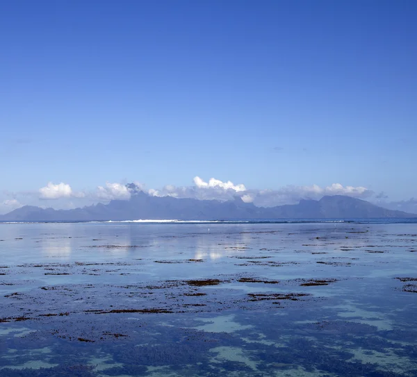 Vista mare — Foto Stock